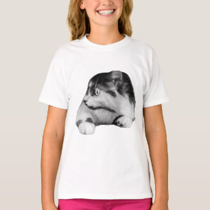 Camiseta Felino curioso no outono