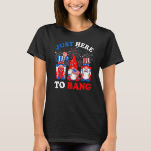 Camiseta Feliz 4 De Julho Apenas Aqui Para Bang Gnomos Patr