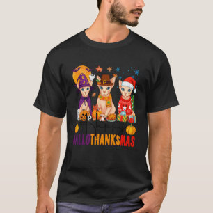 Camiseta Feliz Hallothanksmas Gatos Sphynx Halloween Ação d