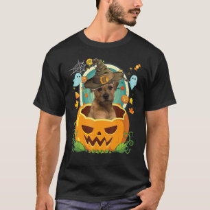 Camiseta Feliz Halloween Pumpkin Border Terrier Dog Witch C
