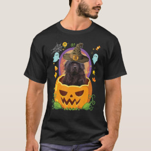 Camiseta Feliz Halloween Pumpkin Newfound Dog Bruxaria