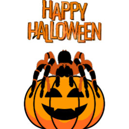 Camiseta Feliz Halloween Tarantula no Topo de uma Abóbora