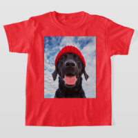Feliz Labrador em um Red Beanie Sob um Céu Azul