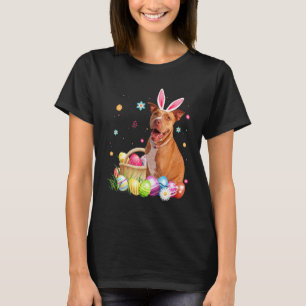 Camiseta Felz pascoa Cute Bunny Pittbull Vestindo Urso Coel