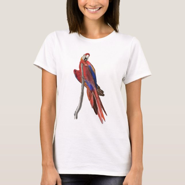 Camiseta feminina com desenho de arara-vermelha (Frente)