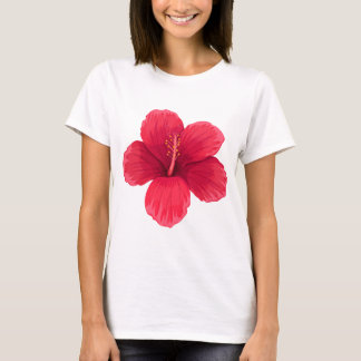 Camiseta Feminina de Manga Curta Cicy Bell – Algod