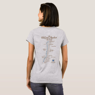 Camiseta feminina Friends of the Old Croton Aquedu