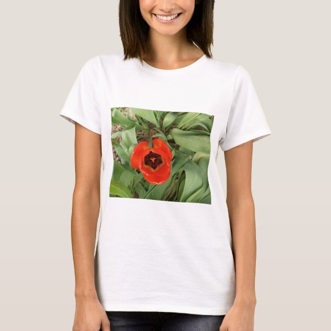 Camiseta Feminina Tulipa Vermelha (Frente)