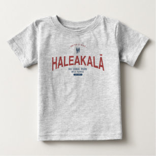 Camiseta Férias no Havaí no Parque Nacional de Haleakala