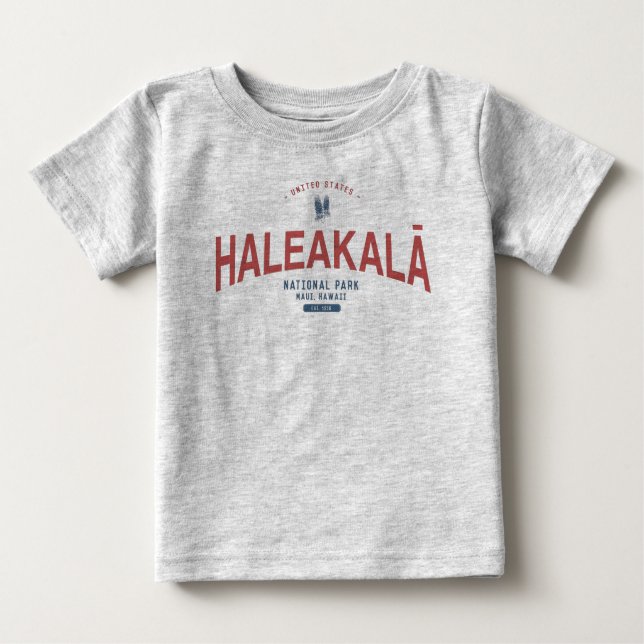 Camiseta Férias no Havaí no Parque Nacional de Haleakala (Frente)