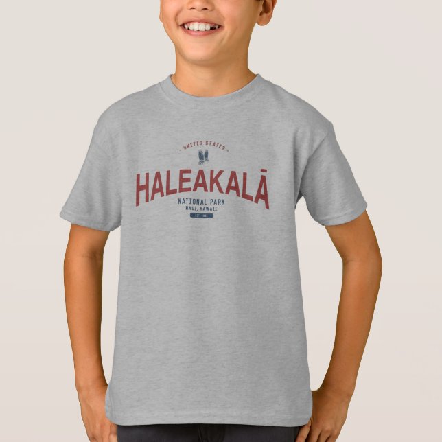 Camiseta Férias no Havaí no Parque Nacional de Haleakala (Frente)