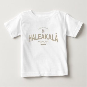 Camiseta Férias no Havaí no Parque Nacional de Haleakala