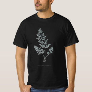 Camiseta Fern - Gymnogramma Leptofilla - Efeito de raios X 