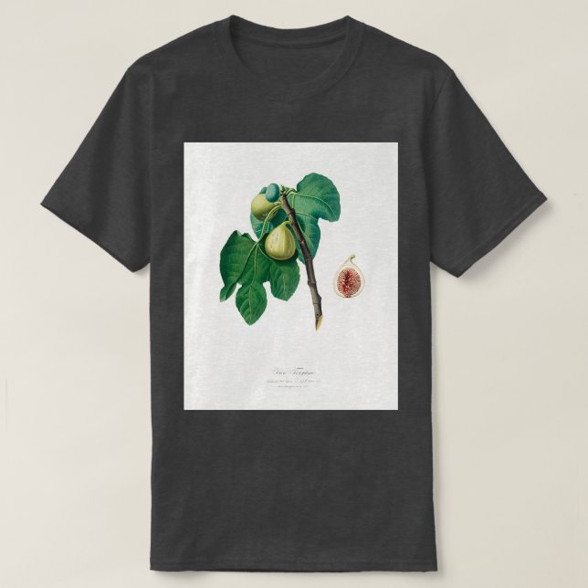 Camiseta Fig Fico Troiano de Pomona Italiana 1817 1839 (Frente do Design)