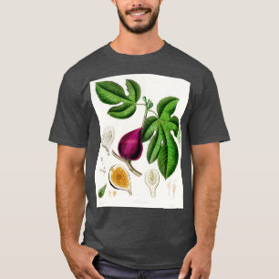 Camiseta Fig Ficus carica ilustra da Botânica Médica