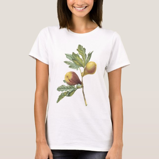 Camiseta figo (violacea do Ficus) por Redouté (Frente)