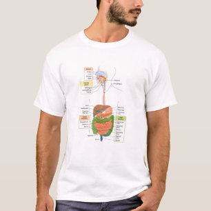 Camiseta Figura Gastrointestinal Humano