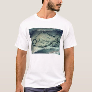Camiseta Figura marinha, período paleolítico (c.40000-120