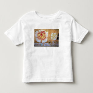 Camiseta Fiji, arte mural.