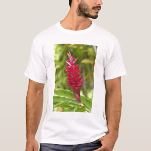 Camiseta Fiji, Ilha Viti Levu. Flor.