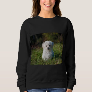 Camiseta Filhote branco fofo