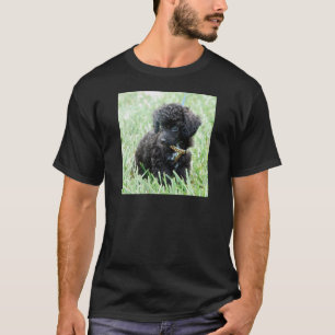 Camiseta Filhote de cachorro da caniche de brinquedo