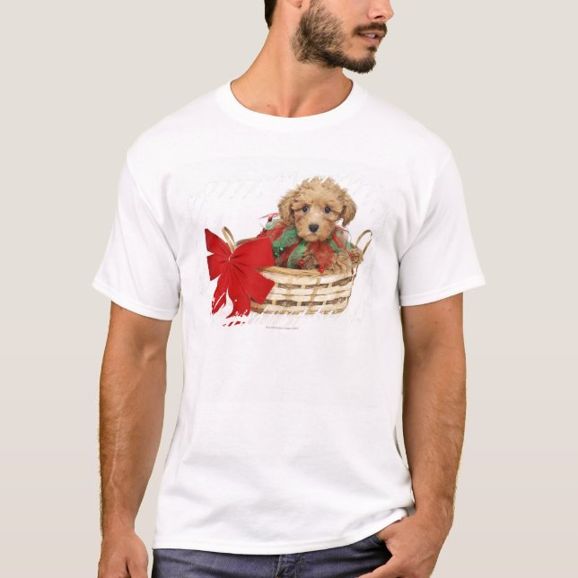 Camiseta Filhote de cachorro da caniche que senta-se na (Frente)