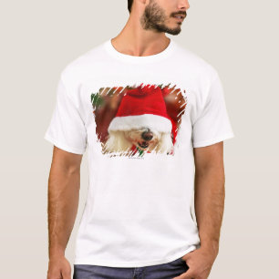 Camiseta Filhote de cachorro de Bichon Frise que veste o