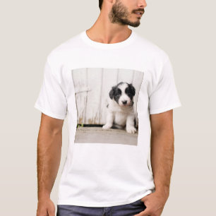 Camiseta Filhote de cachorro de border collie