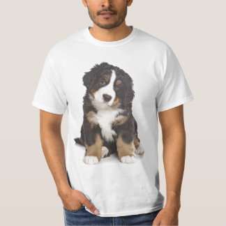 Camiseta Filhote de cachorro de St Bernard