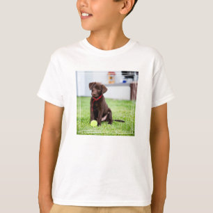 Camiseta Filhote De Labrador De Chocolate Com Bola De Tênis