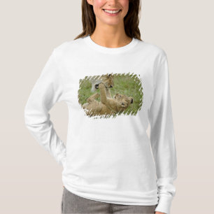 Camiseta Filhote de leão que joga com leão fêmea, Masai