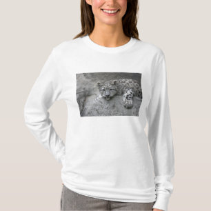 Camiseta Filhote de leopardo-da-neve de 4 meses de idade es