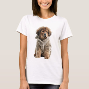 Camiseta Filhote de Mastim Tibetano Marrom Fofo em um Bege