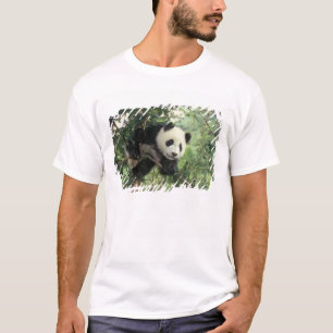 Camiseta Filhote de Panda Gigante sobe em uma árvore, Vale