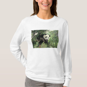 Camiseta Filhote de panda gigante sobe em uma árvore, Vale
