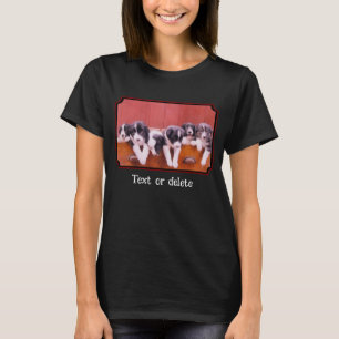 Camiseta Filhotes de Border Collie Personalizados Fofos