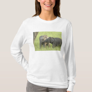 Camiseta Filhotes de Elefante Indiano / Asiático