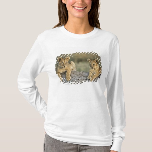 Camiseta Filhotes de Leão no Tronco (Frente)