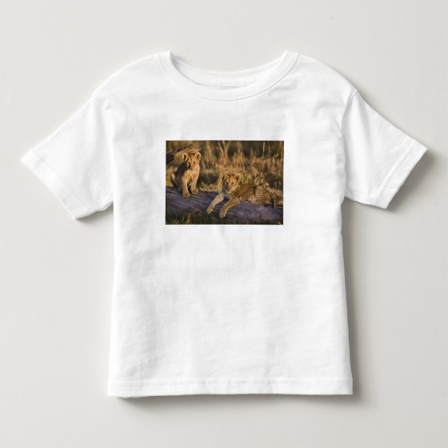 Camiseta Filhotes de Leão no Tronco (Frente)