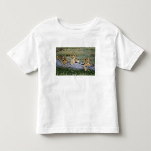 Camiseta Filhotes de Leão no Tronco