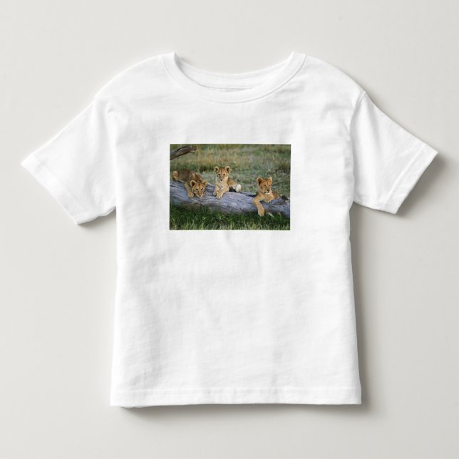 Camiseta Filhotes de Leão no Tronco (Frente)