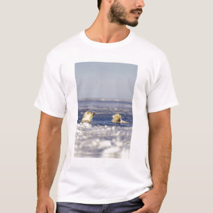 Camiseta Filhotes de urso polar brincando