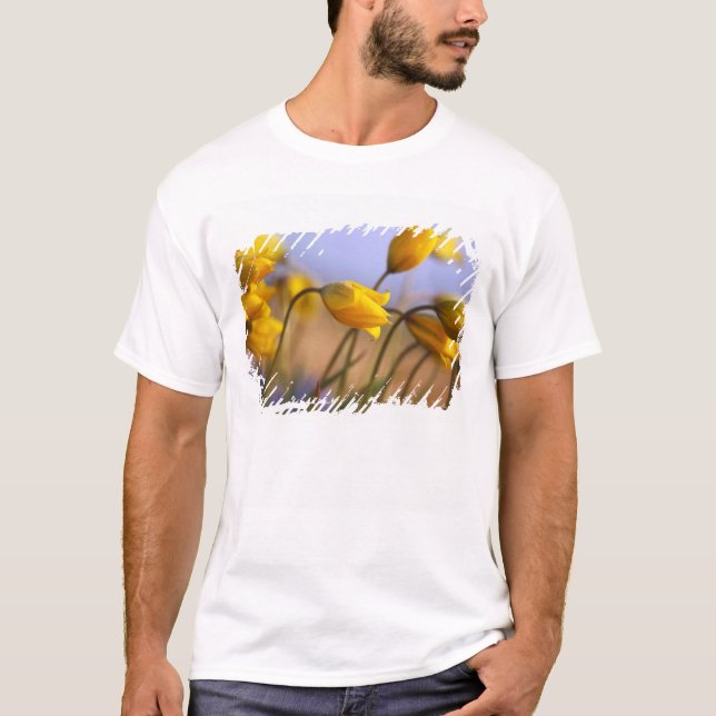 Camiseta Fim-acima dos daffodils (Frente)