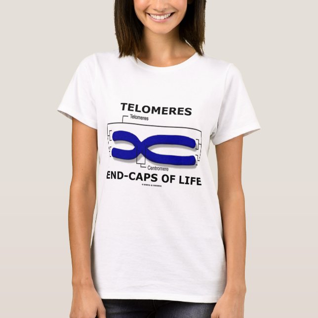 Camiseta Fim-Bonés de Telomeres da vida (humor da biologia) (Frente)