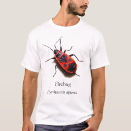 Camiseta Firebug BOYB