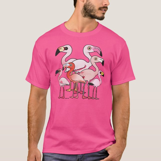Camiseta Flamboyance (Frente)