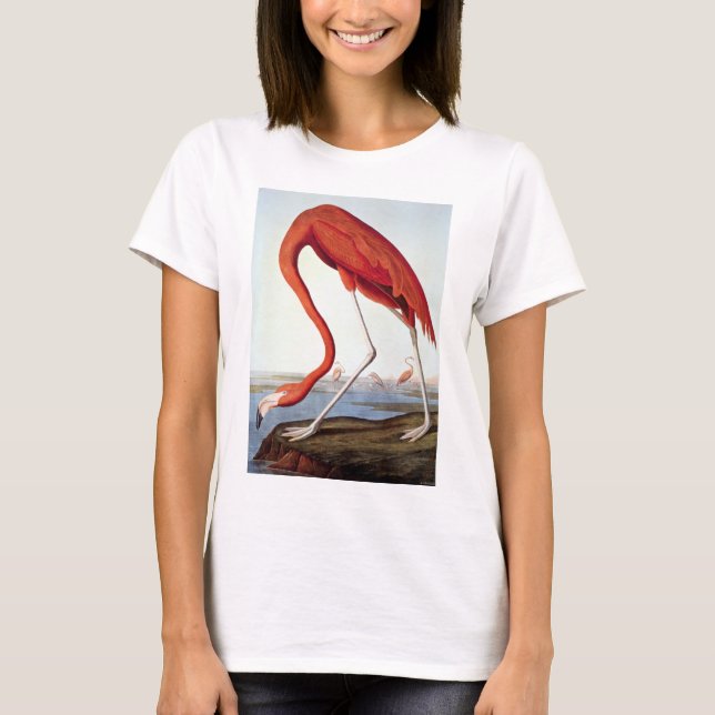 Camiseta Flamingo americano (Frente)