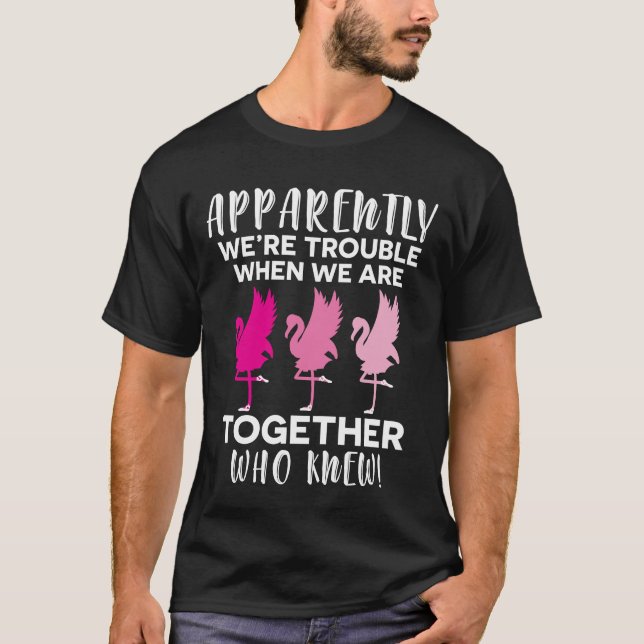 Camiseta Flamingo aparentemente nós formos problema quando (Frente)