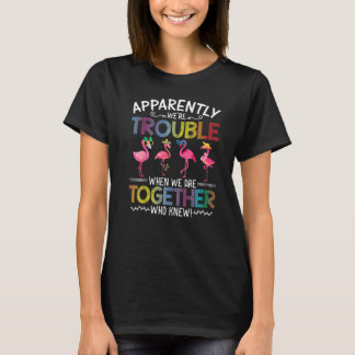 Camiseta Flamingo Aparentemente Nós Somos Problemas Quando 